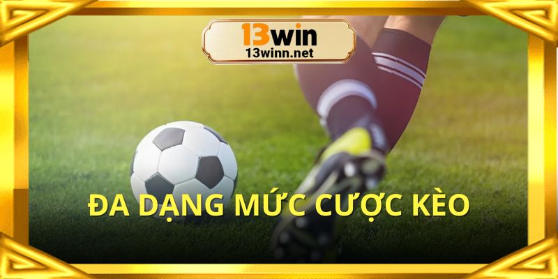 Kèo châu Á hôm nay được chia nhiều dạng